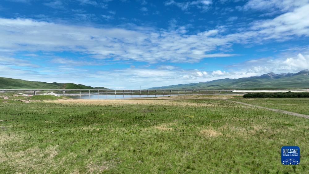 澳门注册送58元体验金